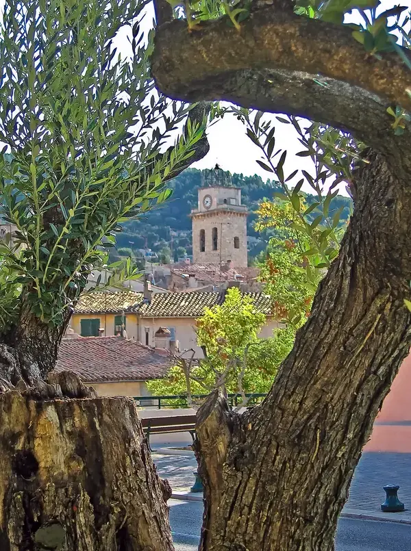 Monte Escalier Habitat Monte escalier Ceyreste