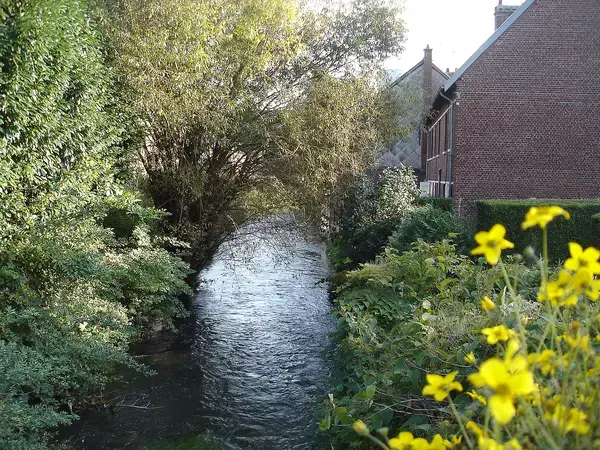 Monte Escalier Habitat Monte escalier Déville-lès-Rouen