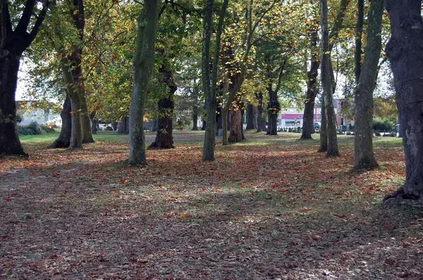 Monte Escalier Habitat Monte escalier Idron