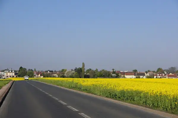 Monte Escalier Habitat Monte escalier Noiseau