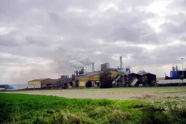 Monte Escalier Habitat Monte escalier Ormes
