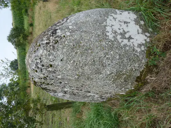 Monte Escalier Habitat Monte escalier Plaintel