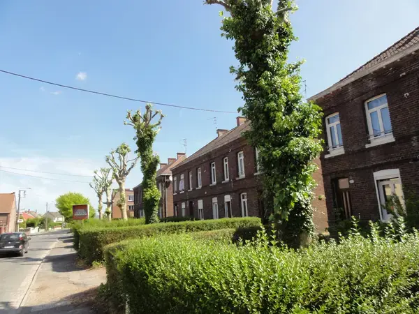 Monte Escalier Habitat Monte escalier Quiévrechain